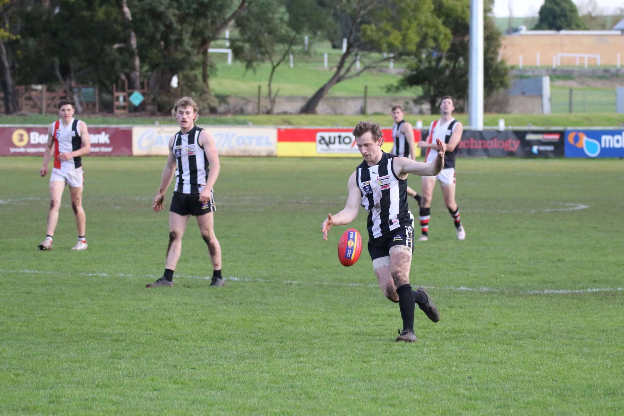 Tough year for Magpies - feature photo