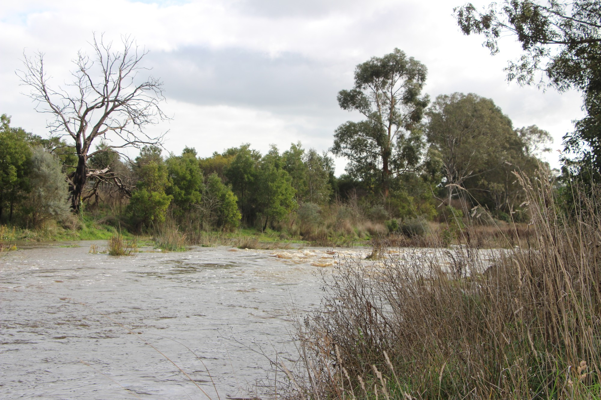 Rainfall results: Rainfall above the long-term average was recorded in Terang and Mortlake during August.