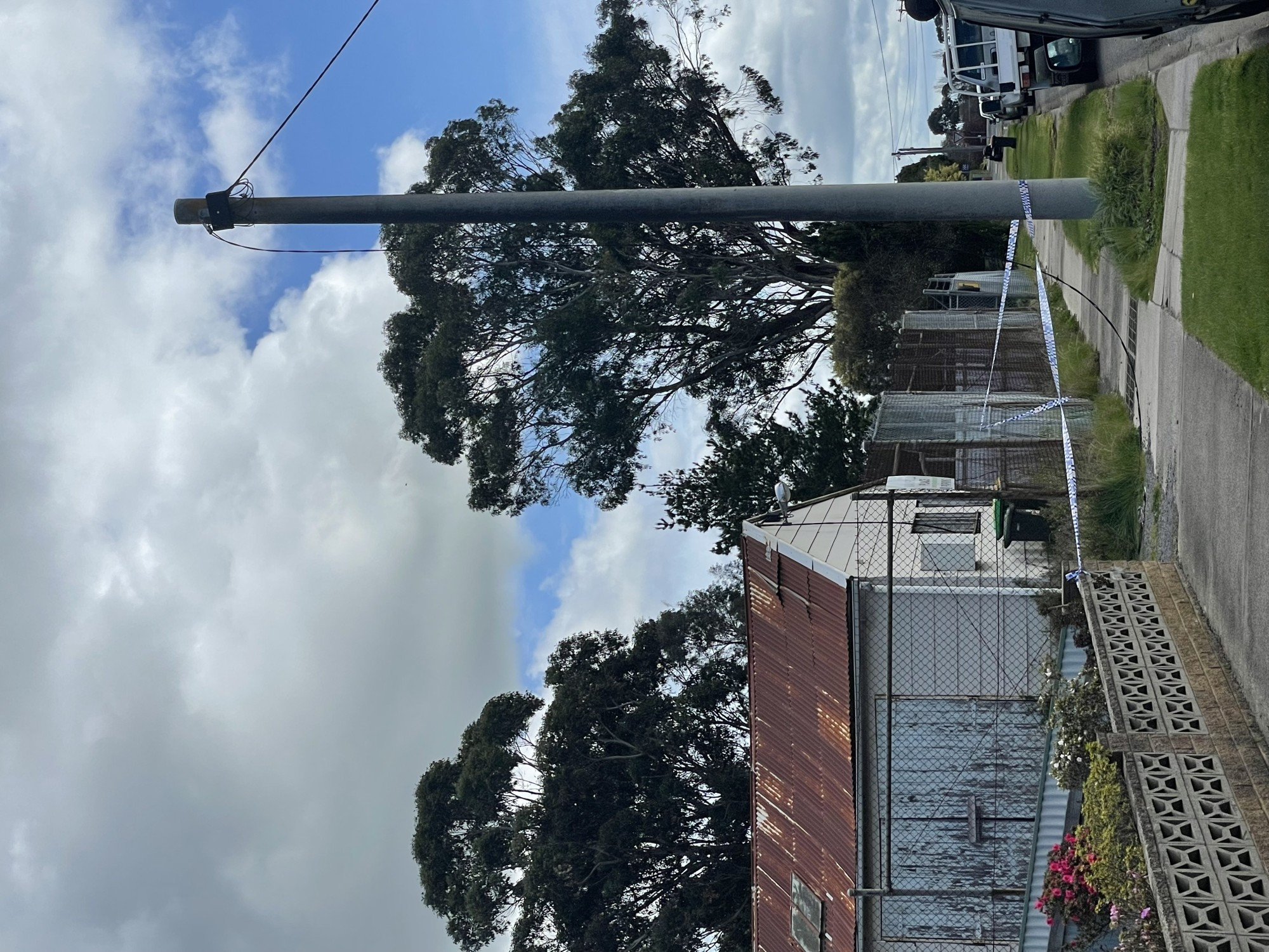 Low impact: Powercor crews were called in to reports of a felled power line in Ferguson Street on Monday.