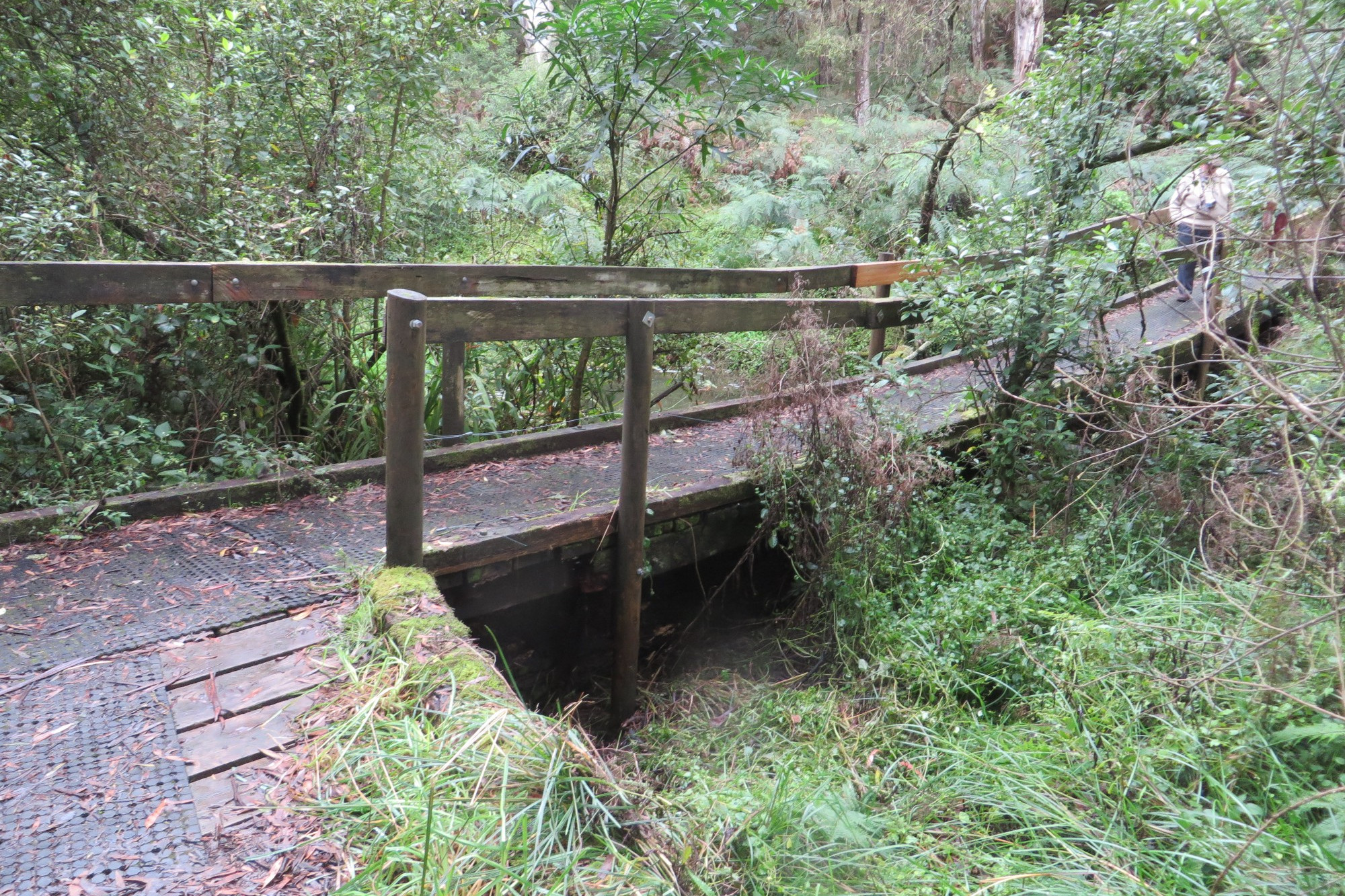 Important works: A section of the Camperdown-Timboon Rail Trail will be closed for about six weeks to allow for the repair of two bridges.