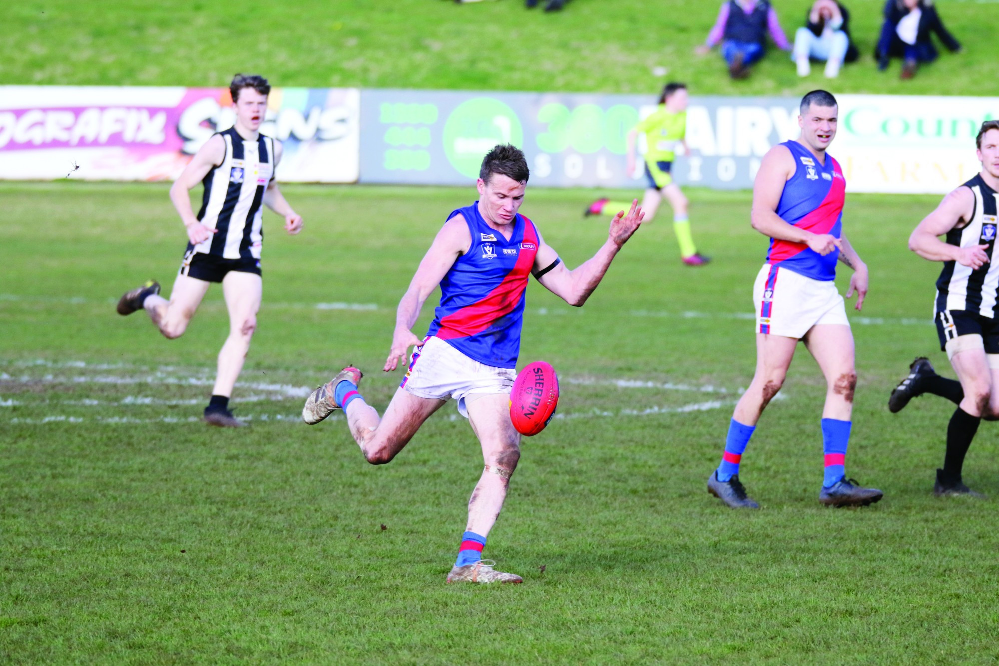 Hay makes team of year - feature photo