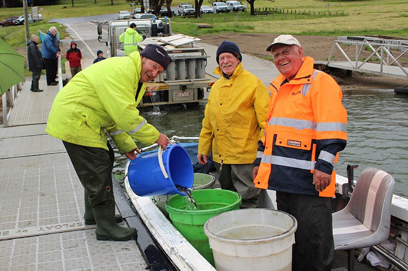 Fisheries Victoria worked with Camperdown Angling Club members to carry out the biggest ever release of finglerlings at one time into Lake Bullen Merri.