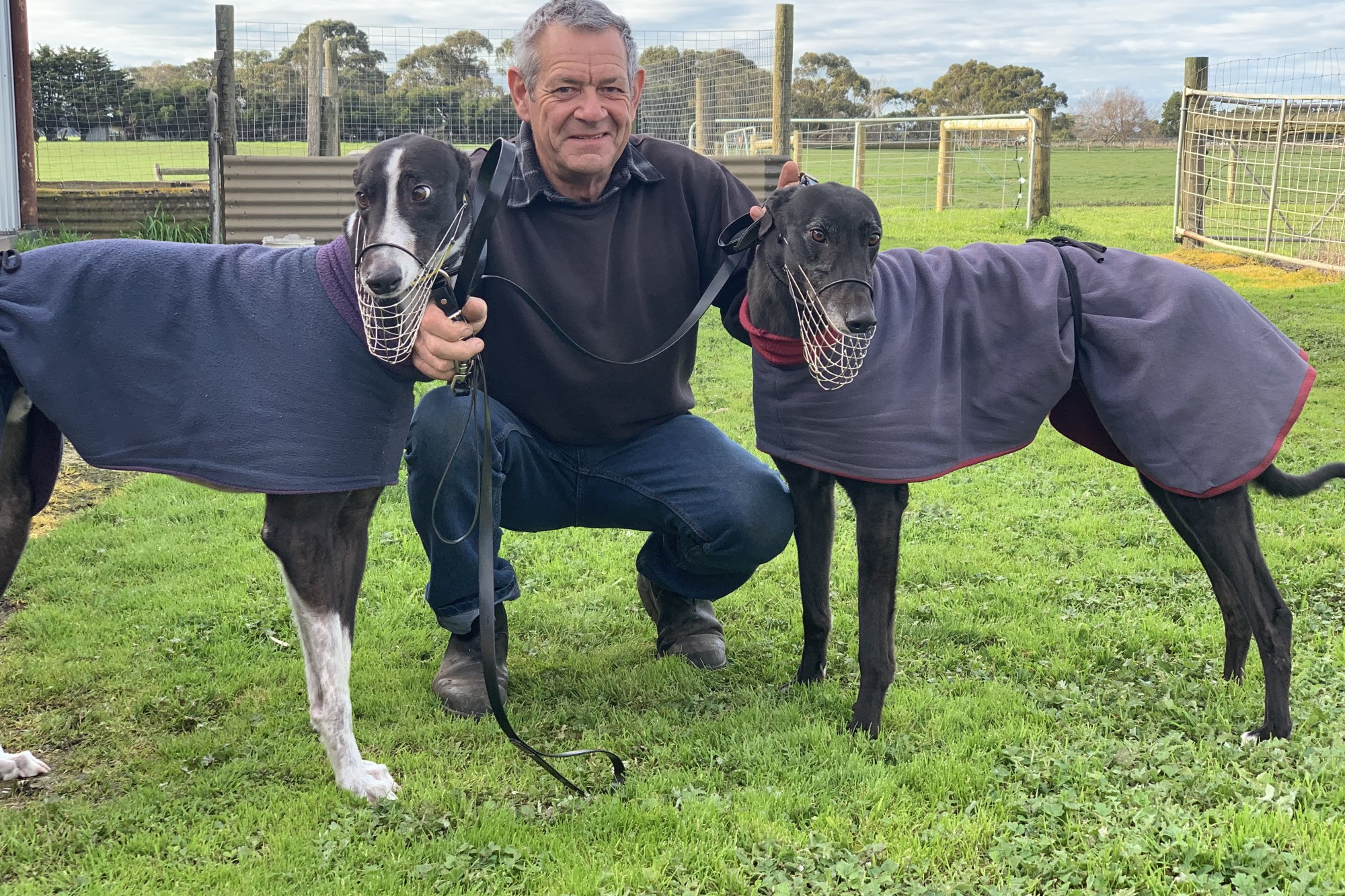 Local greyhound trainer Ray Brewer returned to racing in style this week, with Bob’s Brew (left) winning at Geelong on Tuesday and Maximum Brew (right) winning at Ballarat on Wednesday.