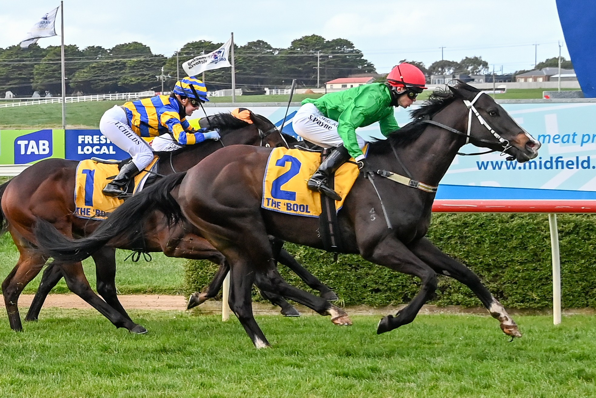 Fabian’s Spirit, ridden by Samuel Payne, won a benchmark 64 handicap event at Warrnambool last week for local trainer Denis Daffy. Photo courtesy of Alice Miles/Racing Photos