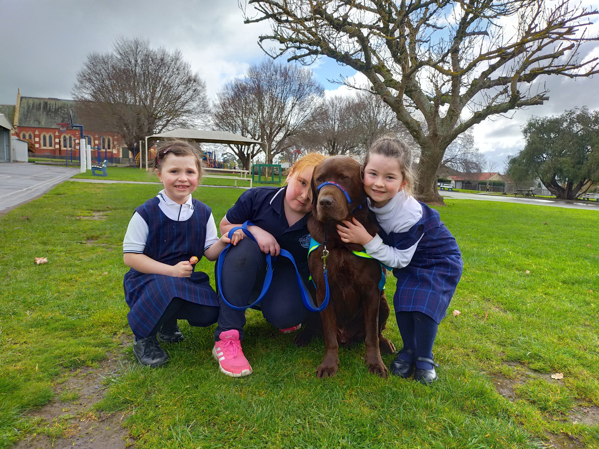 Student support: Fletcher Tolland, Oliver Clark, Nate Castle and Patrick Spokes get to know Camperdown College’s assisted therapy animal Milo.