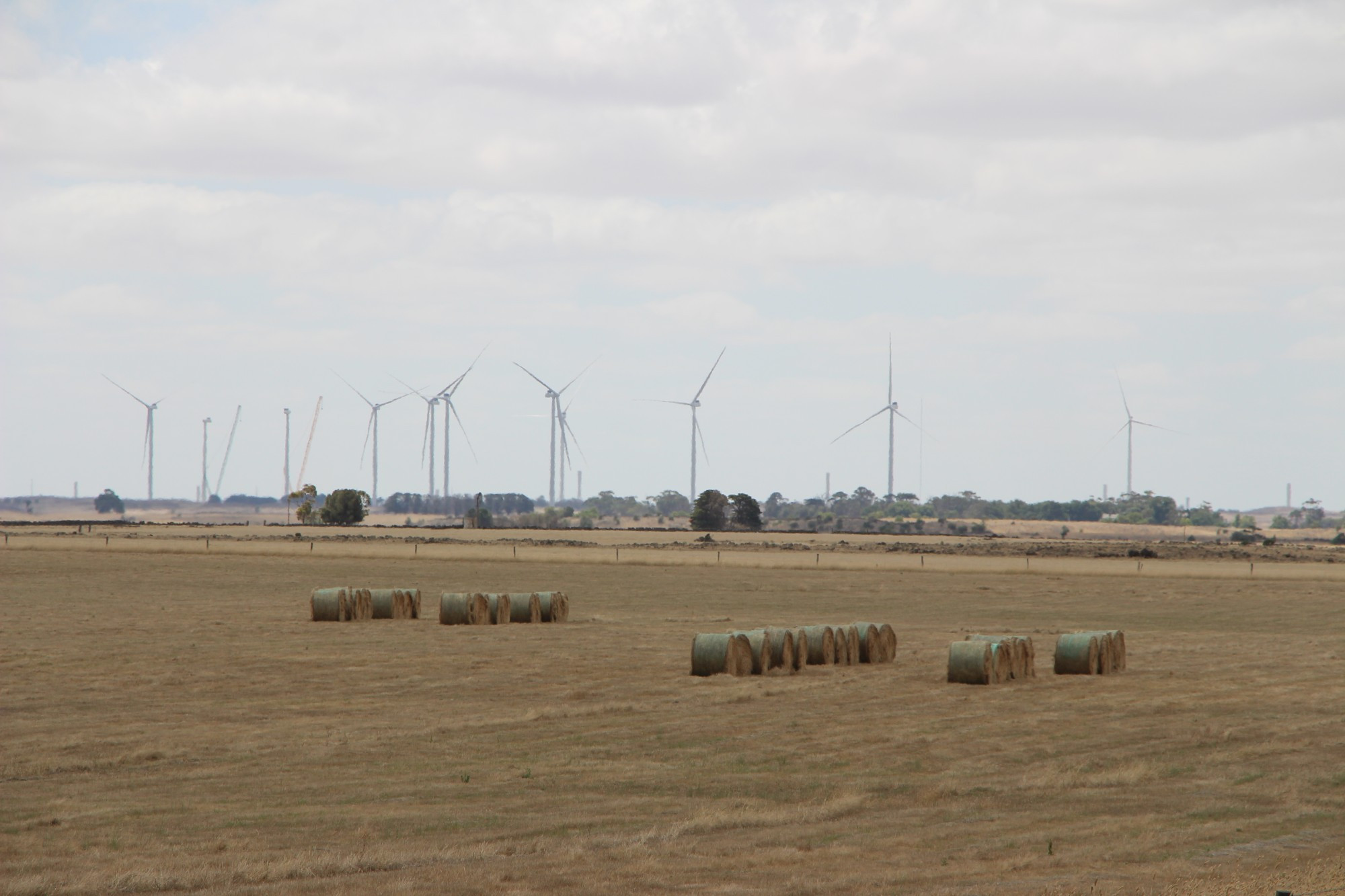 Dundonnell’s landscape is taking on a new look with 11 of 80 planned wind turbines now constructed. The turbines have the biggest blades in use in Australia at 150 metres in length.