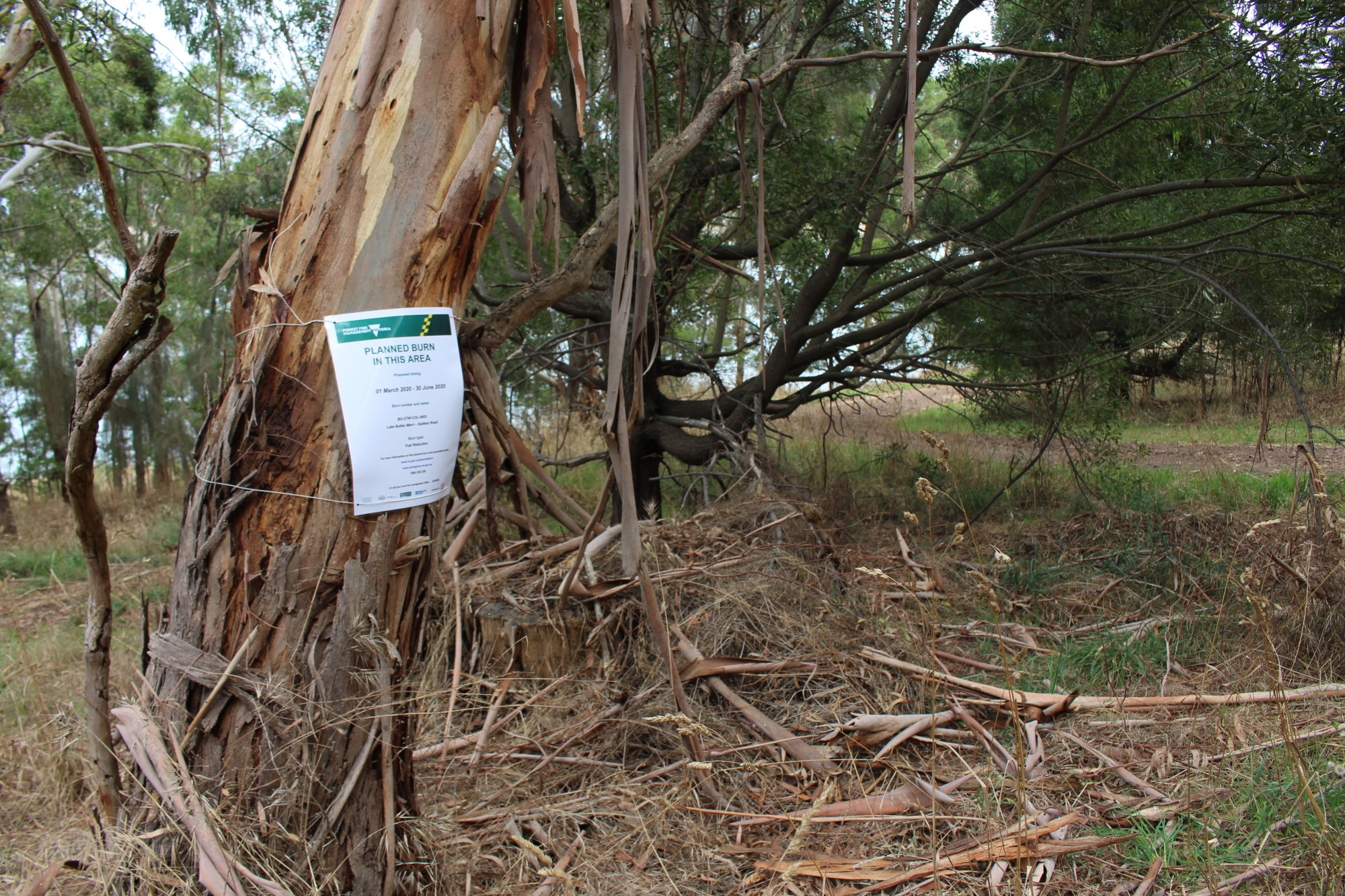 The Department of Environment, Land, Water and Planning is working with the Camperdown Country Fire Authority to carry out what will be the first planned burn-off to be conducted in the Lake Bullen Merri crater.
