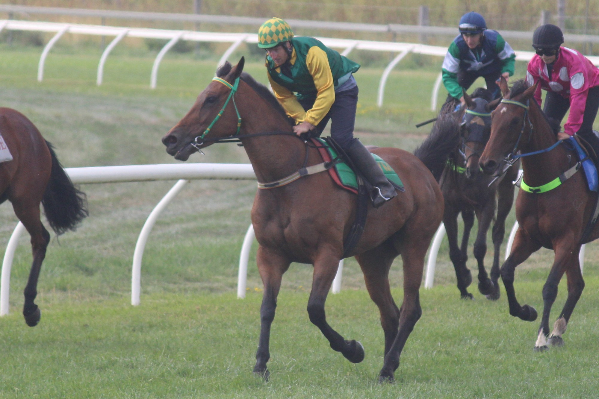 Clint Marshall is hoping to taste success with his horse My Psychiatrist in tomorrow’s $45,000 Sungold Milk Camperdown Cup.