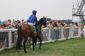Punters make their selections at the mounting yards.