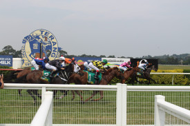 Horses streak passed the finish line. 