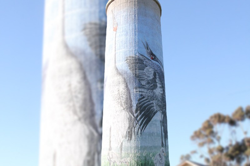 Complete: Lismore’s Water Tower has been turned into a veritable work of art, two chicks now adorn the bottom of the mural.