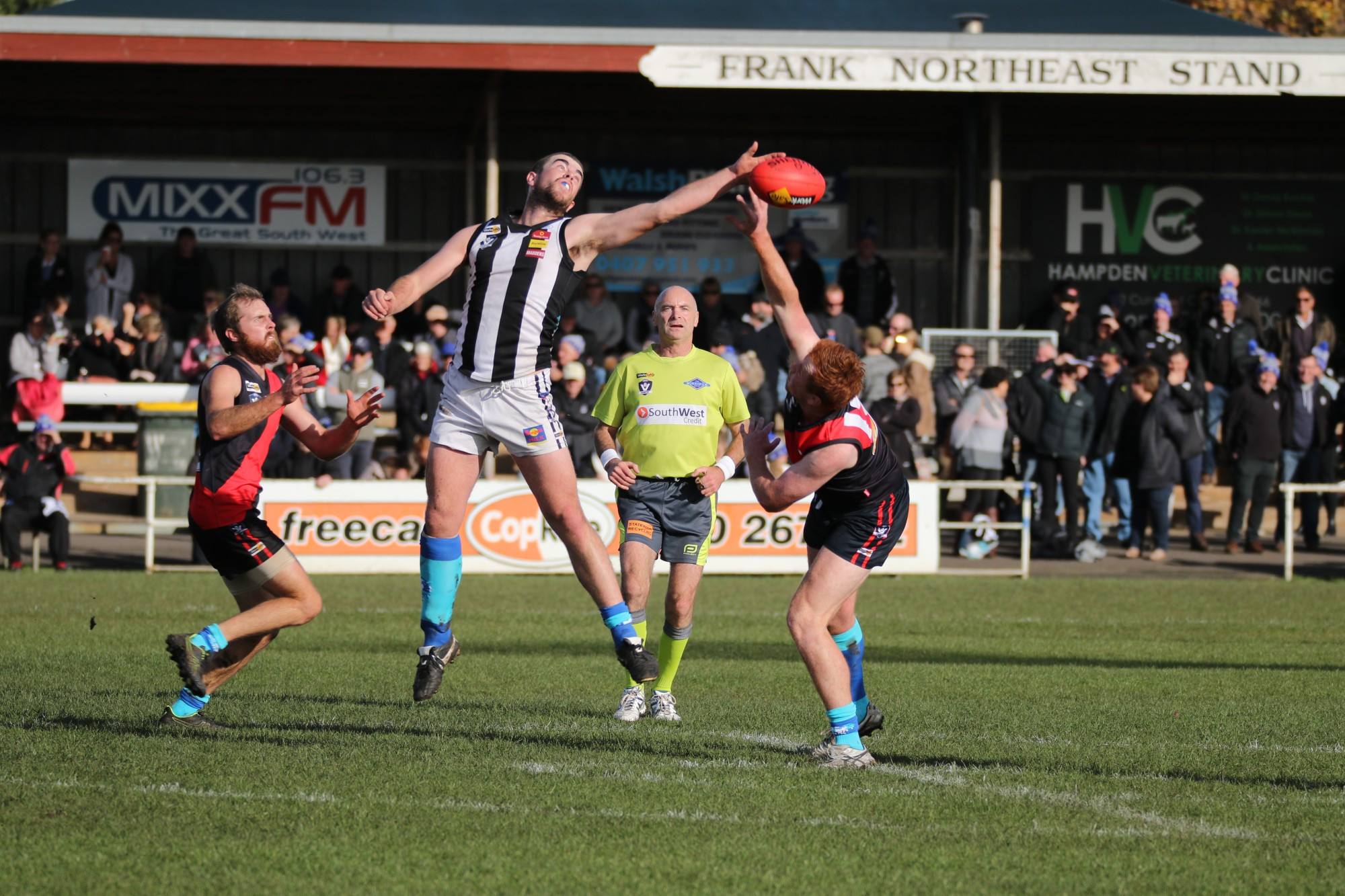 The Hampden Football Netball League executives and its club voted against staging senior football and netball seasons this year at a meeting on Wednesday night.