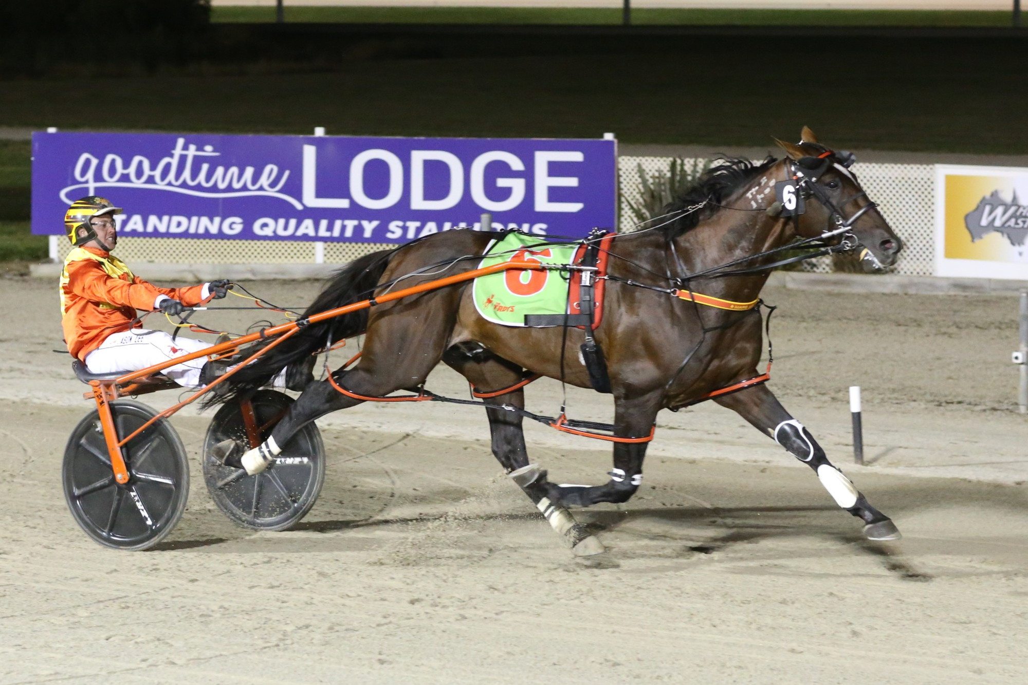 Code Bailey is set to take its place in the field for this Saturday’s Miracle Mile.