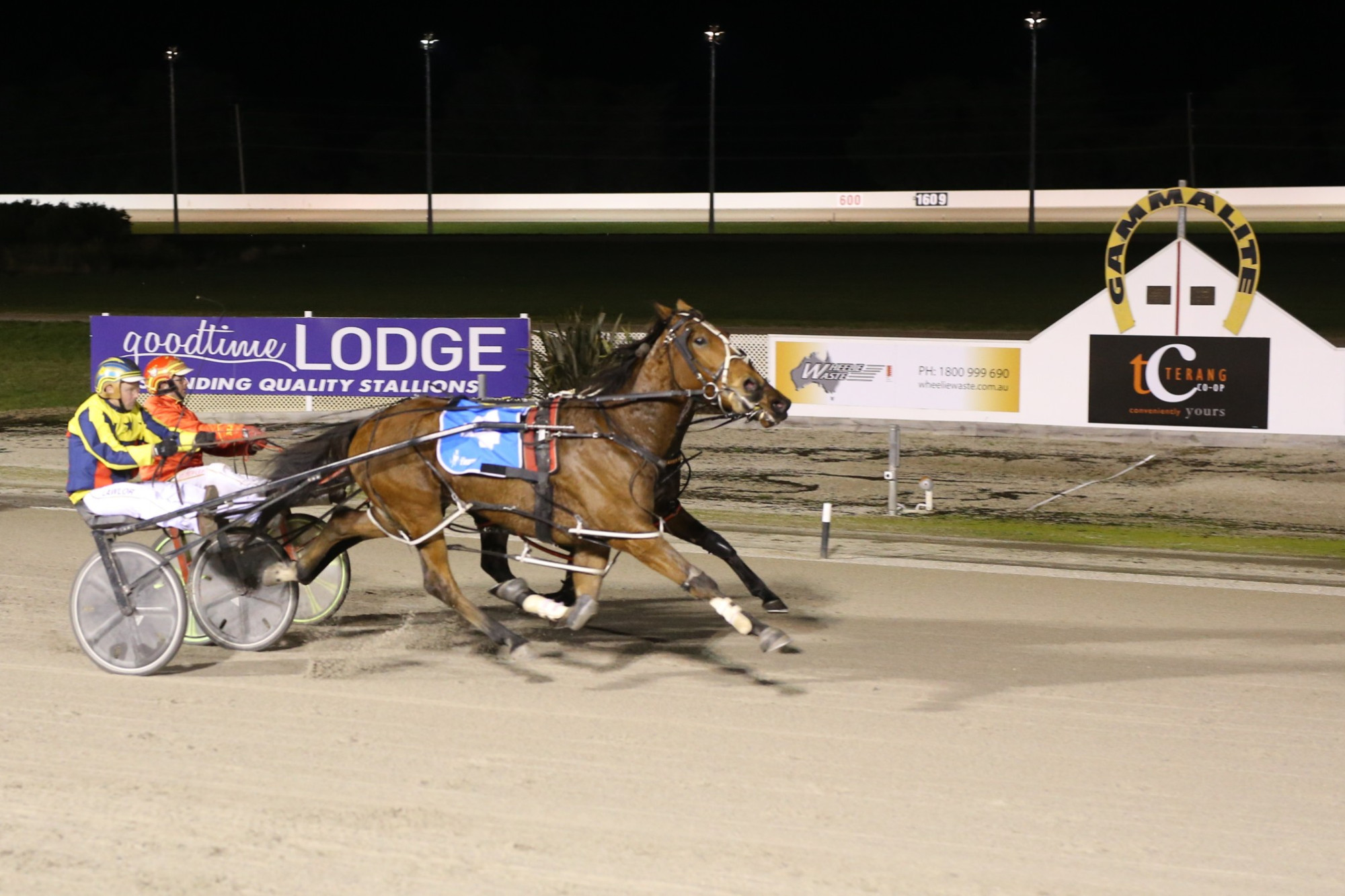 Reactor Factor, with Darryl Lawlor on board, made a triumphant return to racing for local harness trainer Gary Lawlor last Friday night.