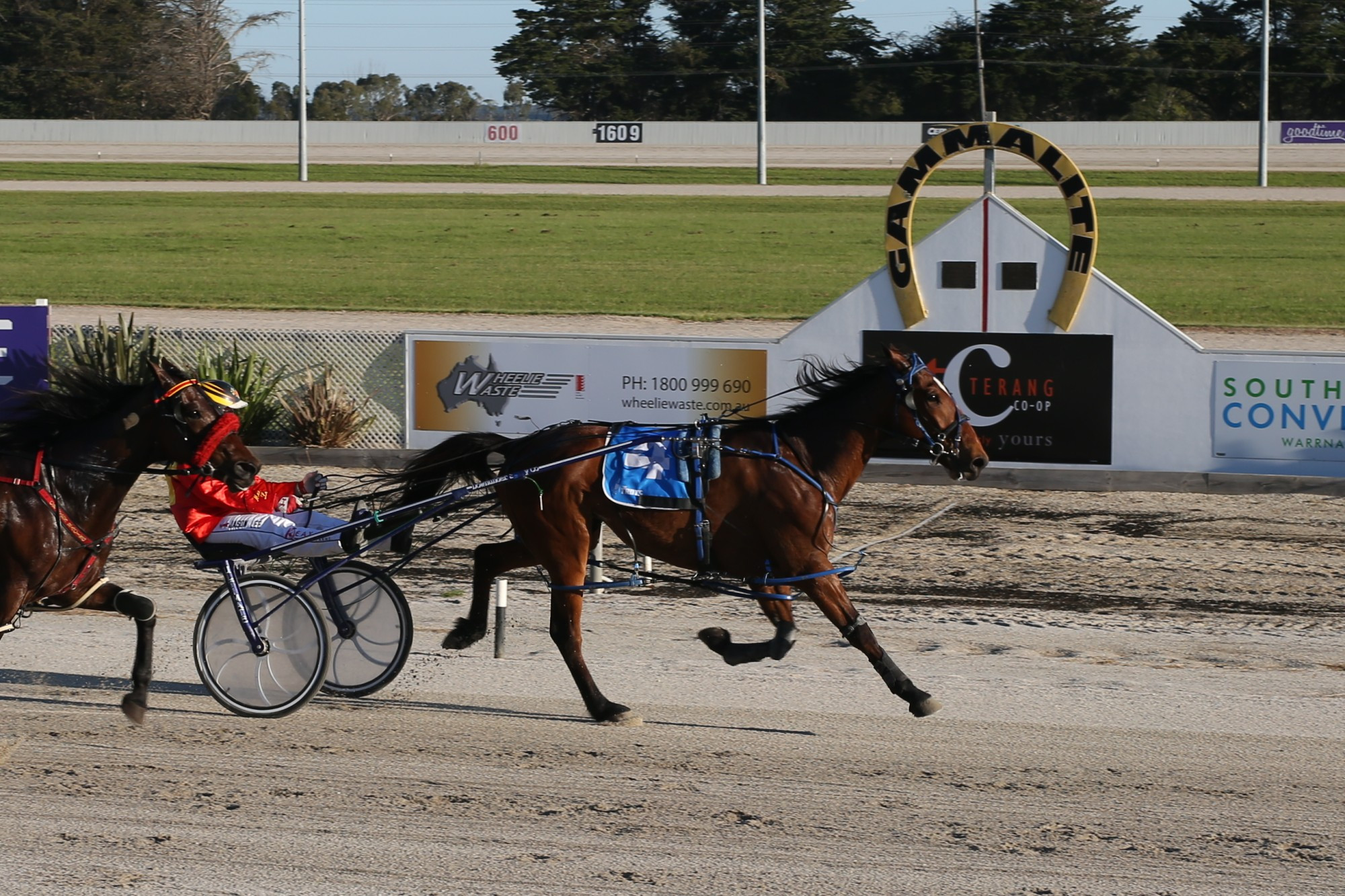 Jason Lee guides Bakers Bandit to victory for Camperdown trainer Steve Lambert in the South West Horse Transport Maiden Pace at Terang on Monday night.