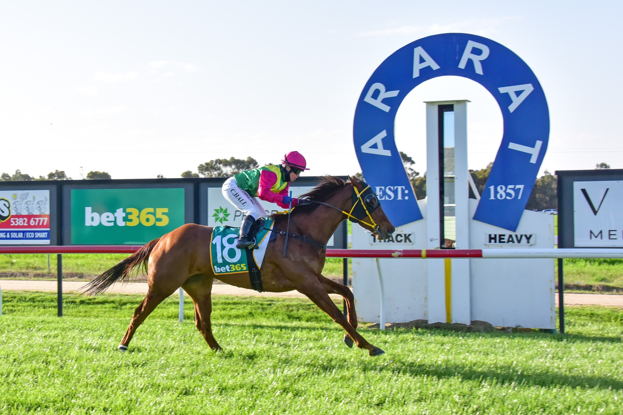 Chelsea Hall guides the Gary Tobias-trained Locktoba Rocks to victory in the Ararat RSL benchmark 58 handicap over 1100 metres at Ararat on Monday. Picture supplied by Brendan McCarthy/Racing Photos