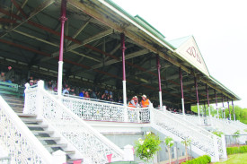 The shelter of the grandstand offered popular protection from the weather. 