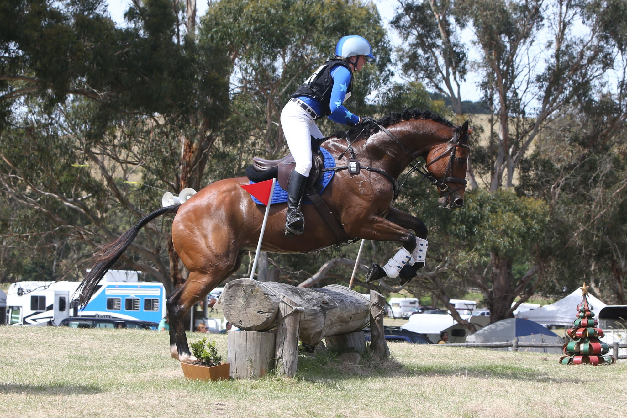 Volunteer help needed: More volunteers are needed to continue the recent success and ensure the future of the annual Camperdown Horse Trials three day event.
