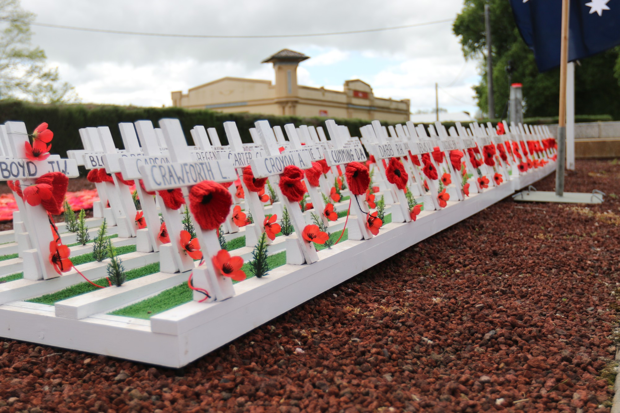 Poppies on white crosses are displayed for each soldier who fought and died at war locally.