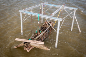 The body of the plane was lifted out of the water. Photo supplied by Jonn Stewart