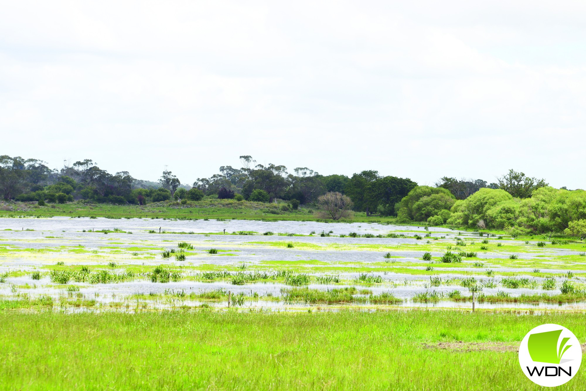 Downpours: Rainfall was well above average in November across the north of the Corangamite Shire.