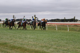 The field thunders down the home straight in the fourth event.