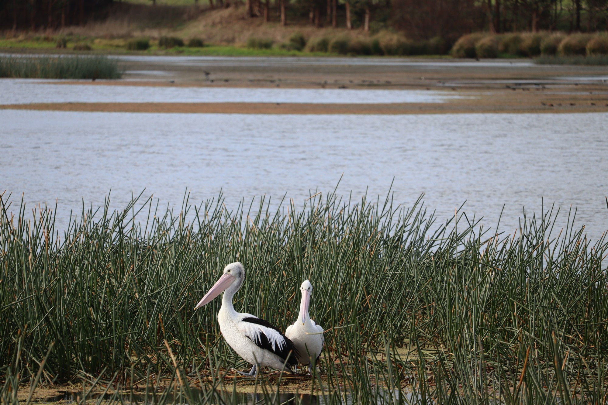Natural: While waterways received a top-up in May, it was below the long-term average.
