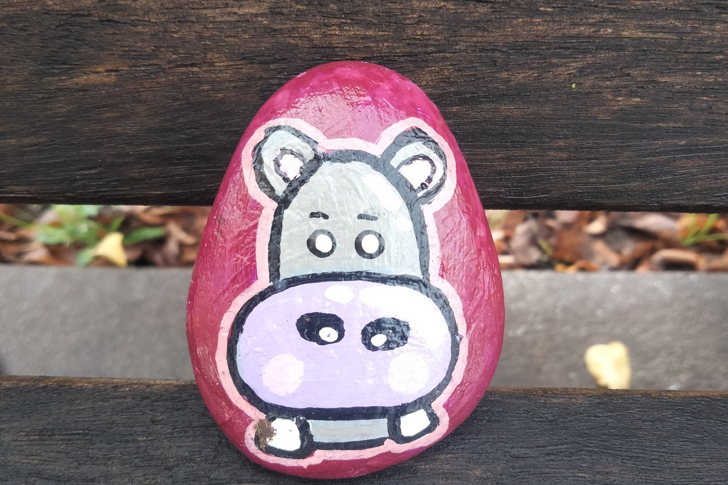 Facebook initiative: Two examples of painted rocks which were spotted in Camperdown over the weekend.