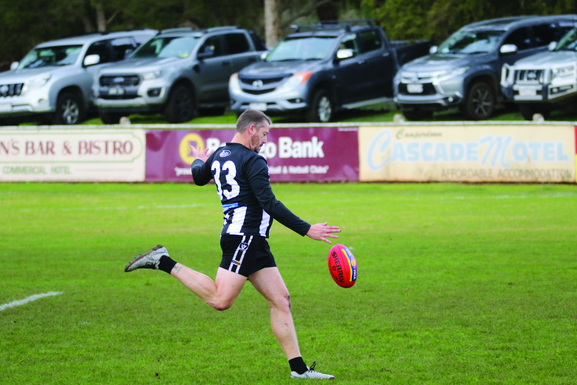 Magpies in action - feature photo