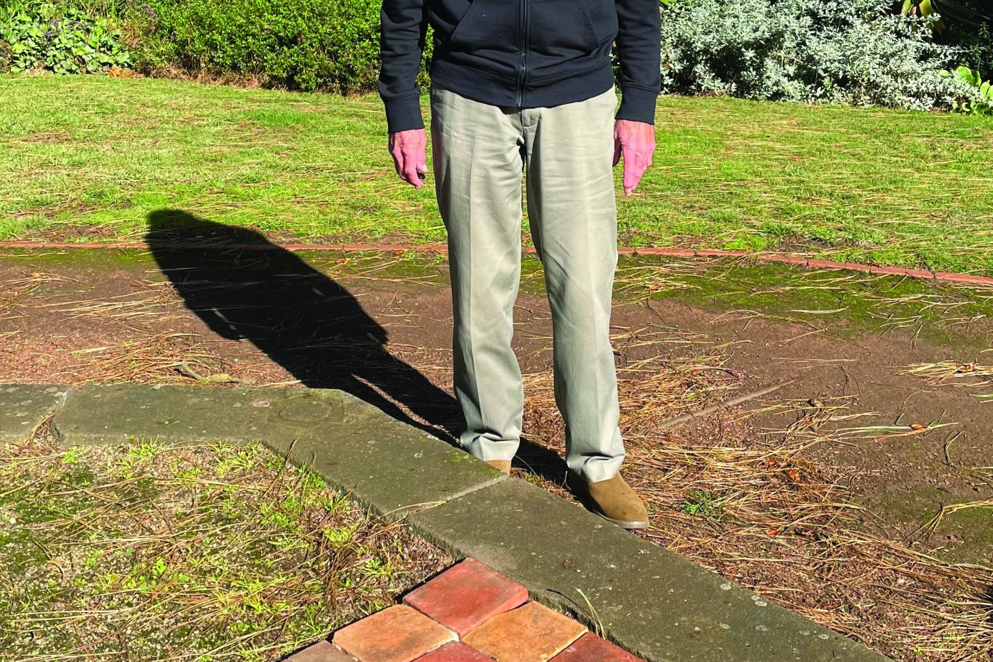 Return to former glory: John Cook hopes to see old tiles re-used as part of the rebuilding of the Camperdown gardens rotunda.