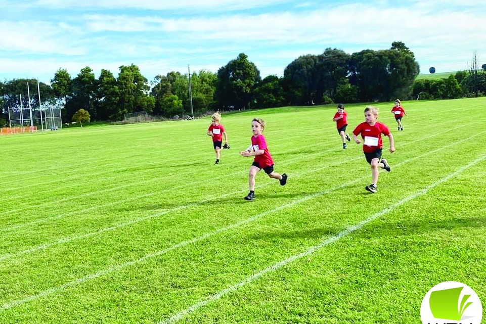 Camperdown Little Aths - feature photo