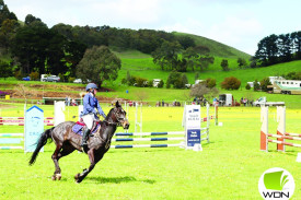 Show jumping events were held on Saturday this year. 