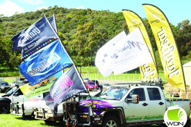 The Beaut Ute competition drew a number of entrants. 