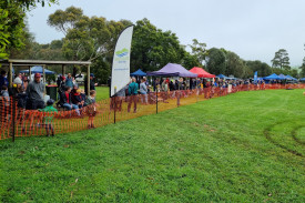 Wet weather did not deter spectators at Camperdown College’s Mow-Down on Saturday. 