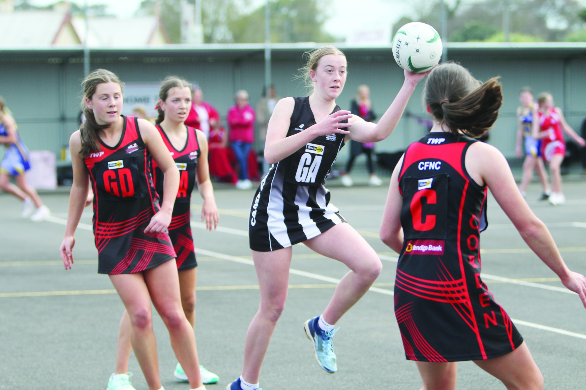 CAMPERDOWN MAGPIES IN ACTION - feature photo