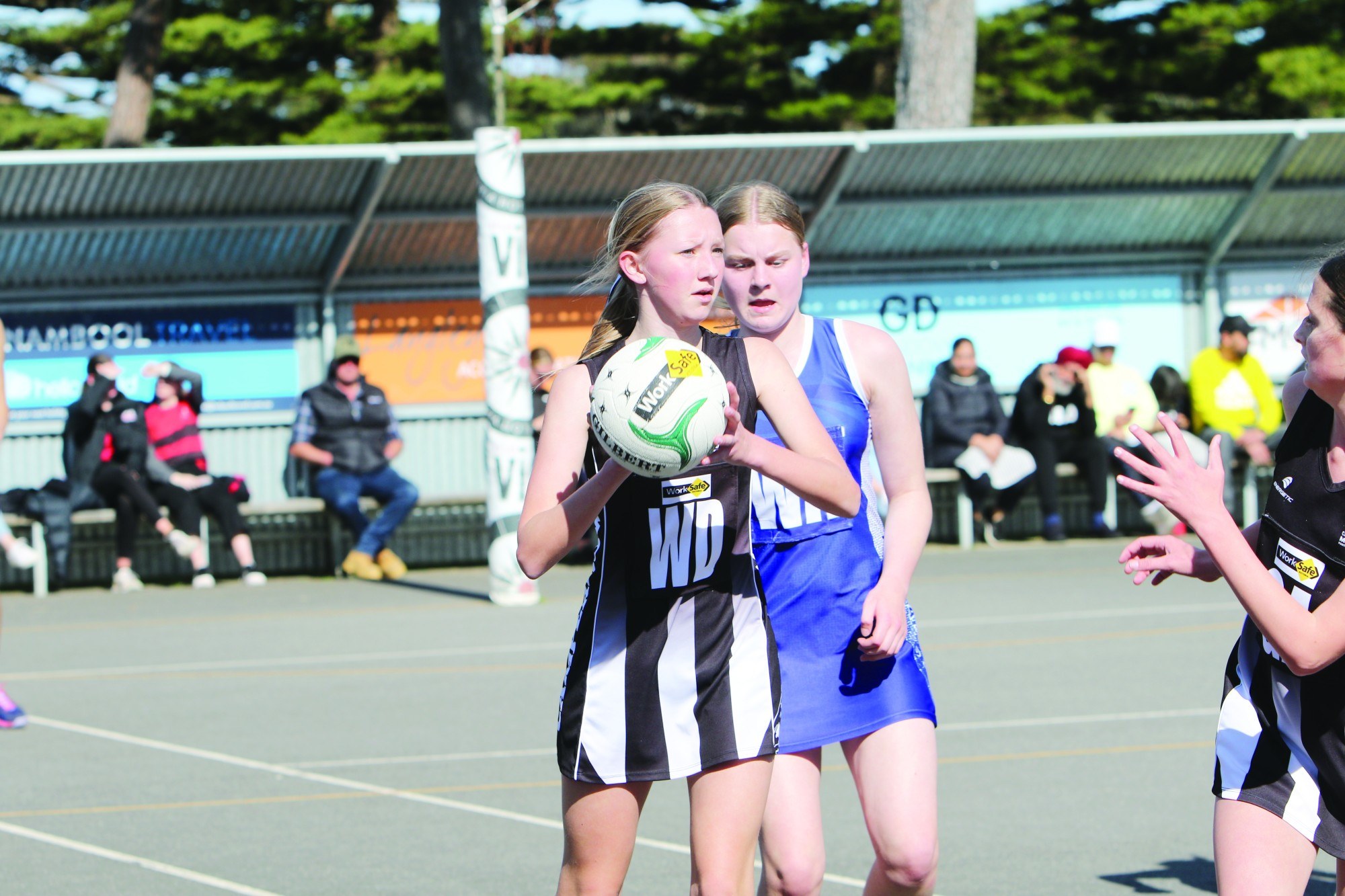 CAMPERDOWN MAGPIES IN ACTION - feature photo