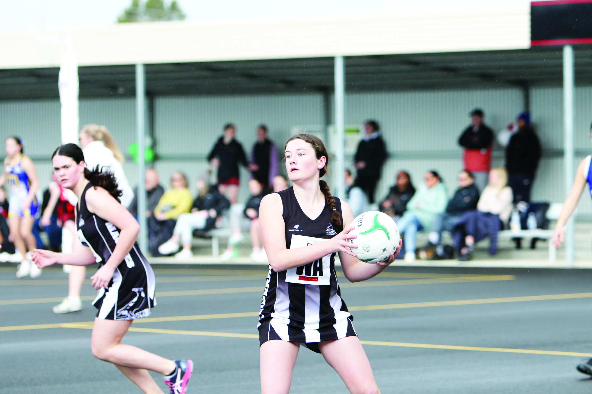 CAMPERDOWN IN ACTION - feature photo