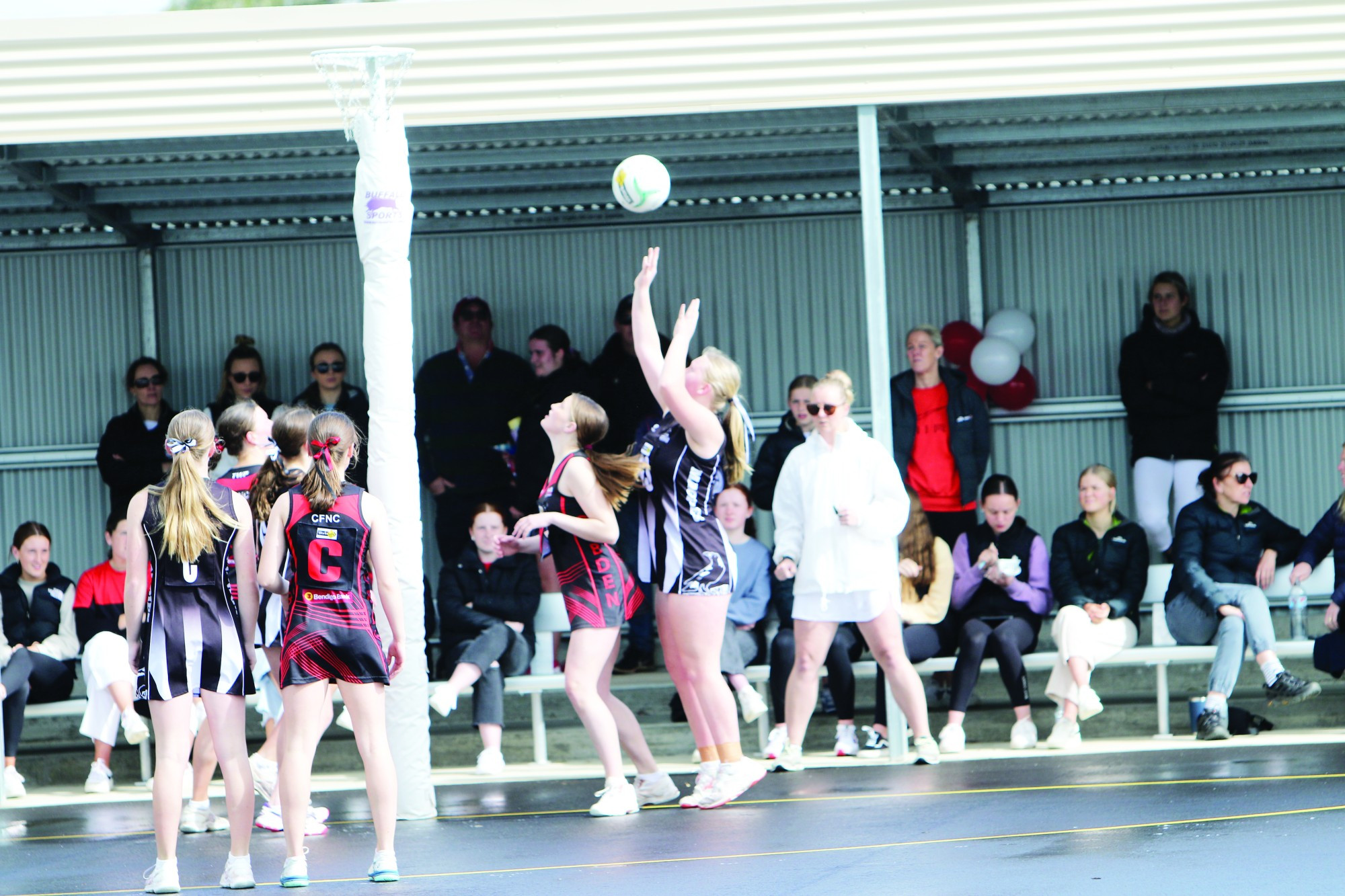 CAMPERDOWN IN ACTION - feature photo