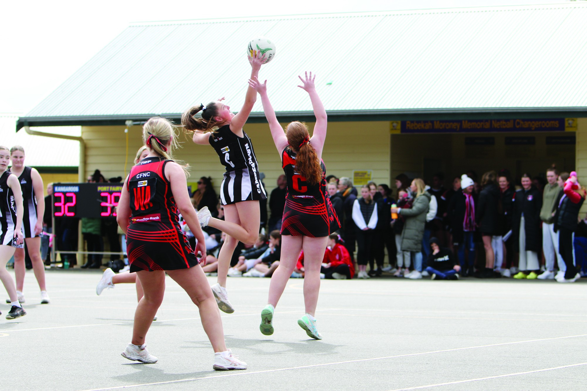 CAMPERDOWN IN ACTION - feature photo