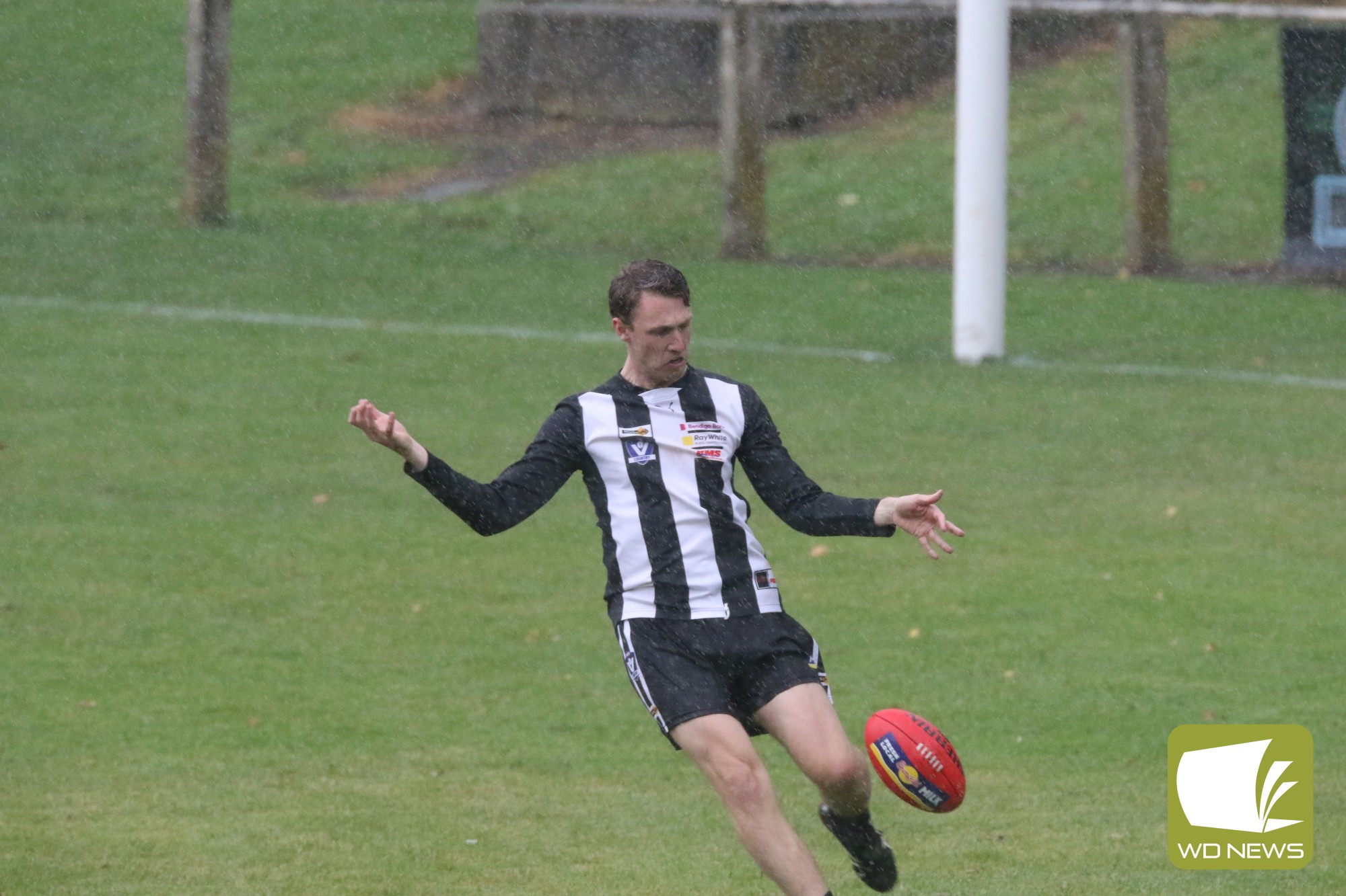Wet day for Pies - feature photo