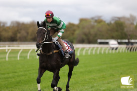 Jockey Aaron Lynch, who has previously notched wins in Warrnambool, found form in the trials in Terang last week. 