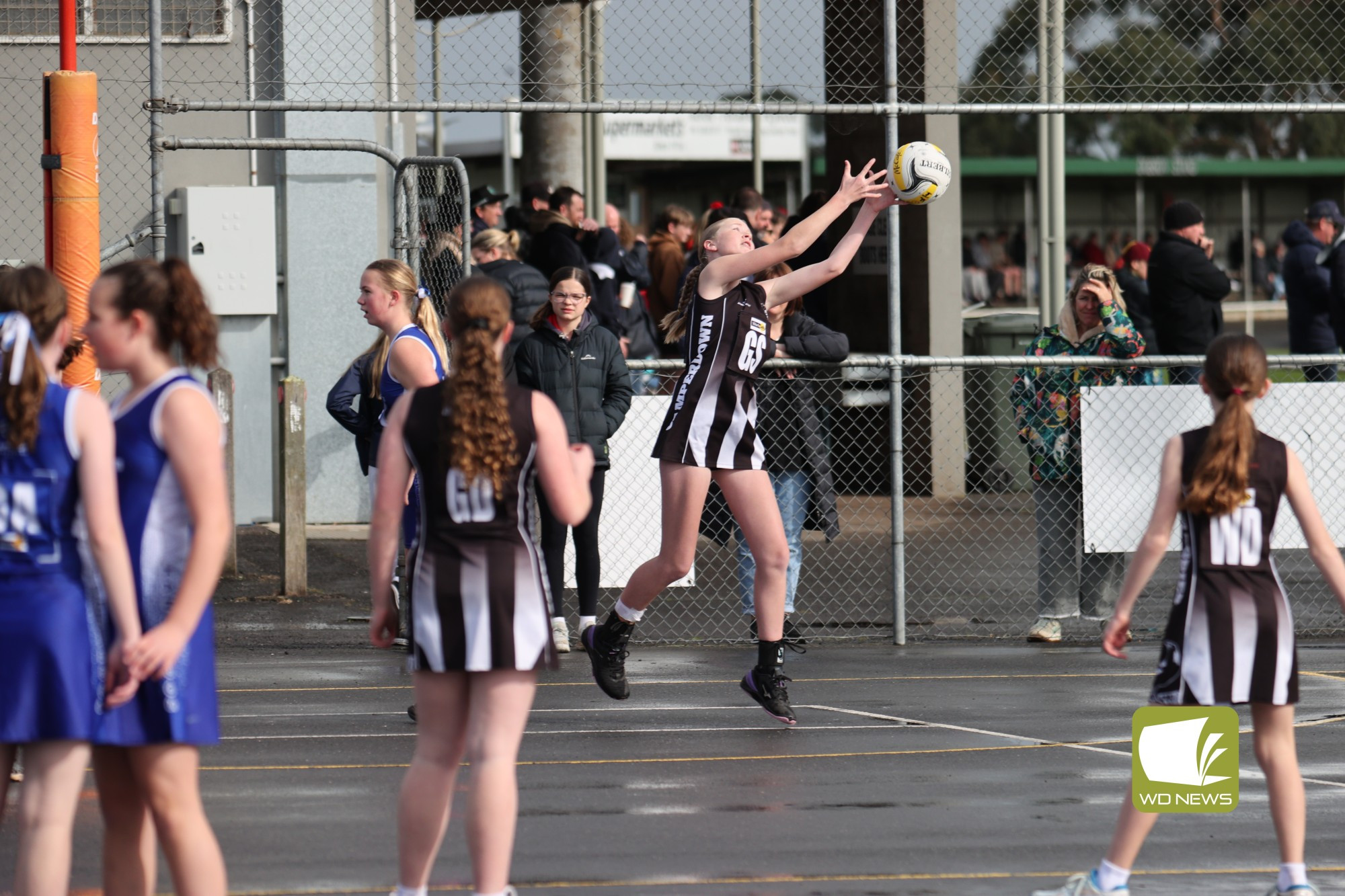 13/U Reserve Elimination Final- Camperdown V Hamilton - feature photo