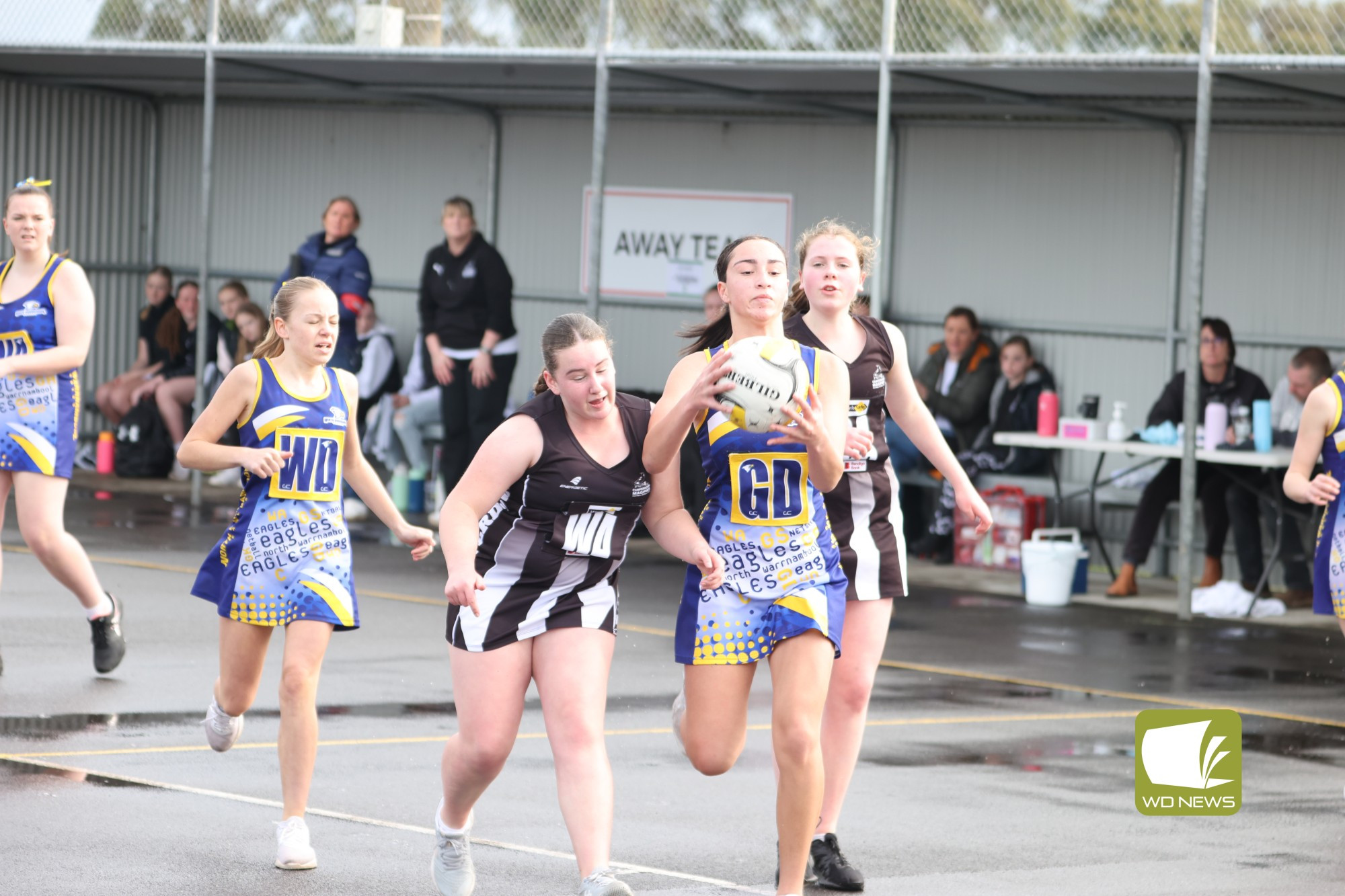 15/U Reserve Elimination Final- Camperdown V North Warrnambool - feature photo