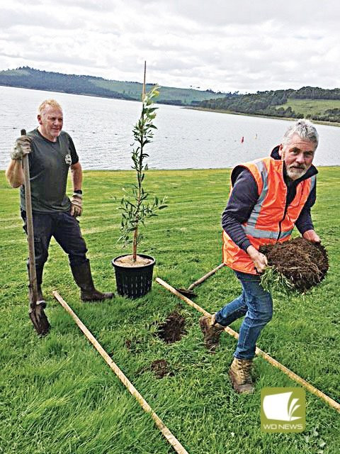 Beautifying the lake: Volunteers from the Lake Bullen Merri South Beach Committee of Management planted native trees along the south beach of the lake.
