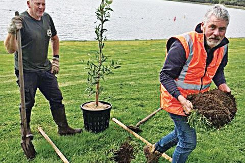 Native trees get planted at Lake - feature photo