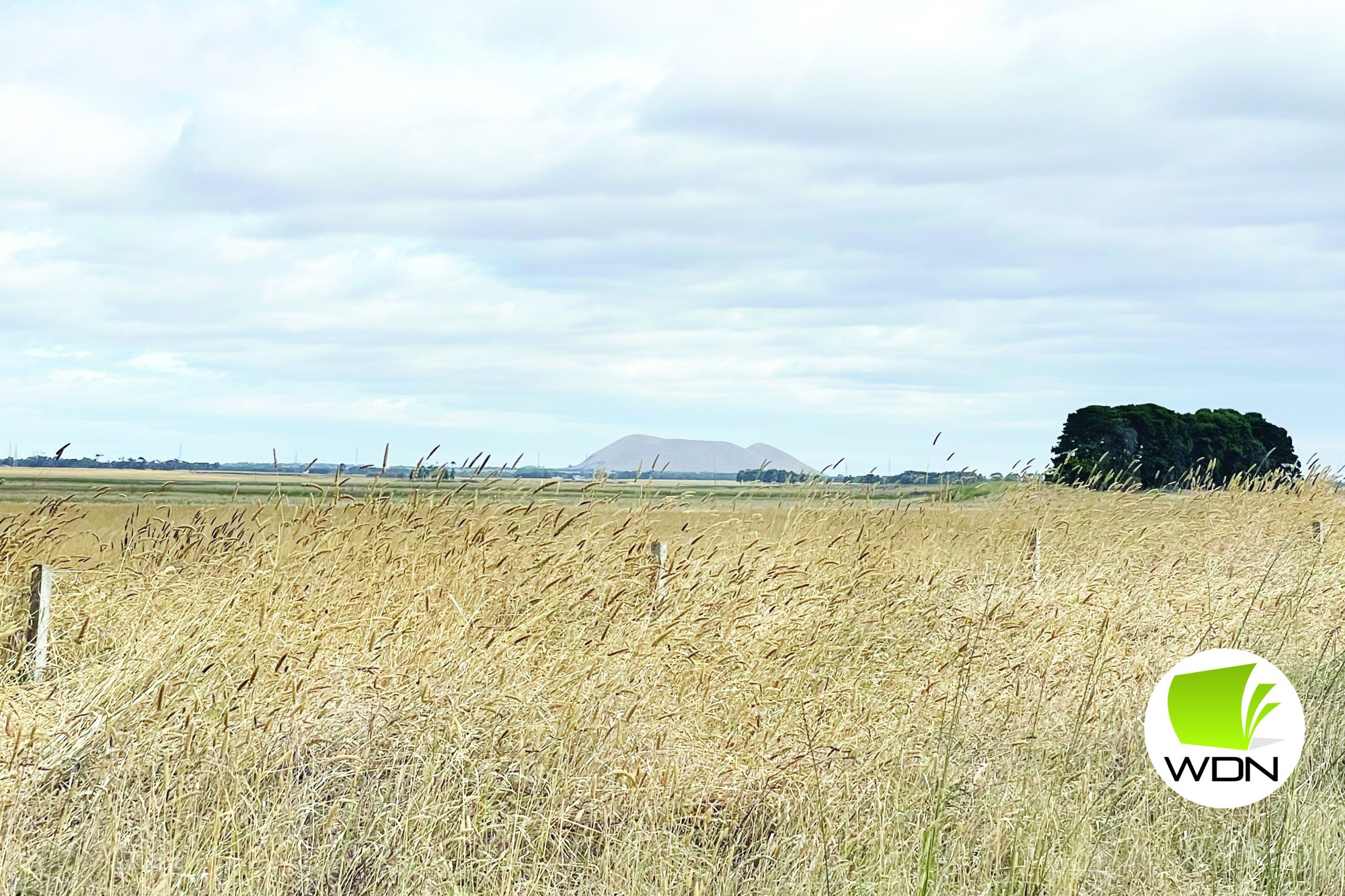 Dry: Paddocks across the north of the Corangamite Shire are dry after a below average rainfall for the month.