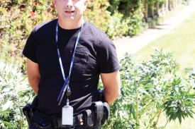 Warrnambool CIU detective acting sergeant Derek Verity said the crop was valued between $50,000 and $70,000. 