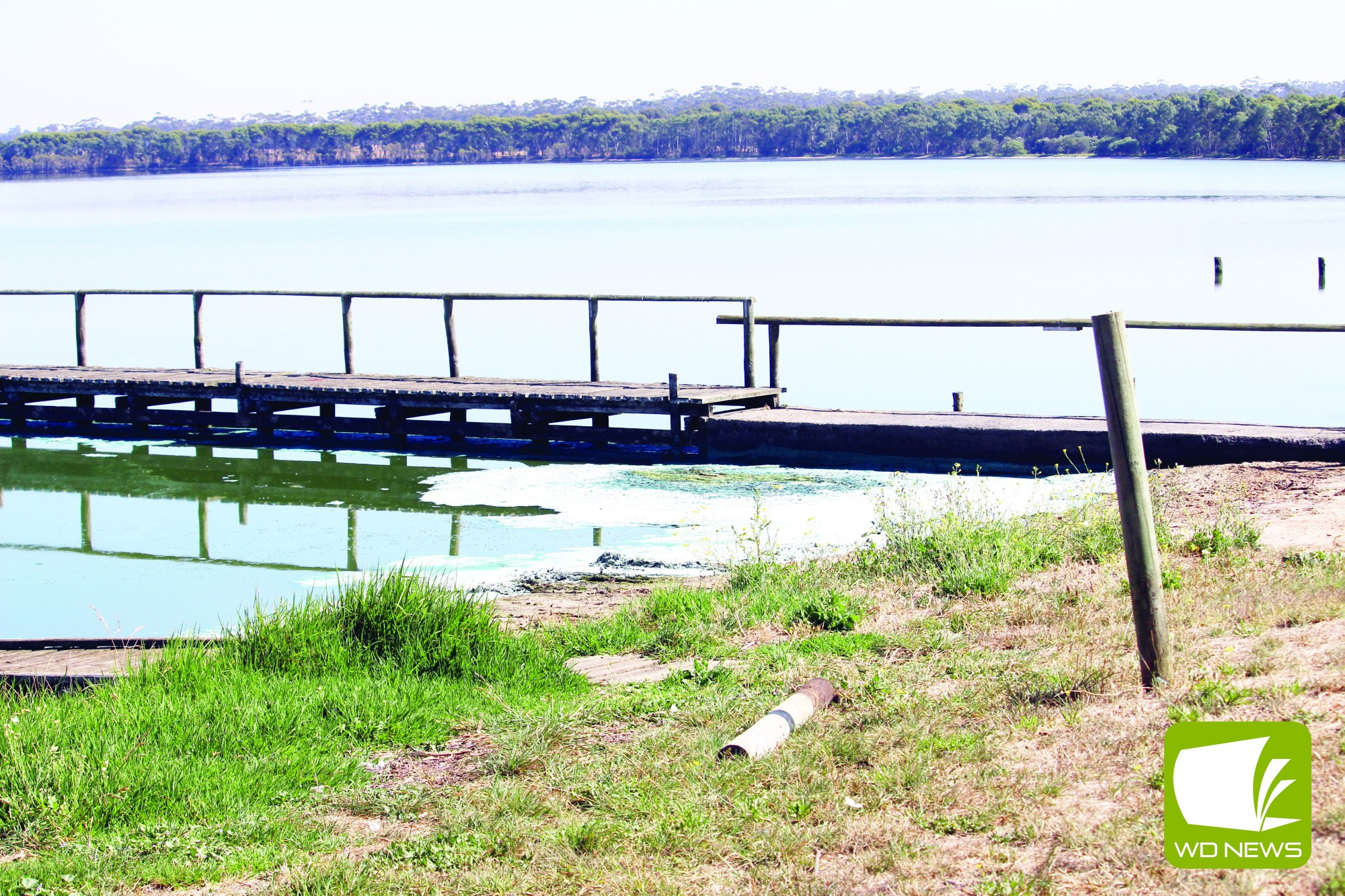 Danger suspected: Toxic blue-green algae has stopped recreational activities at Lake Tooliorook.