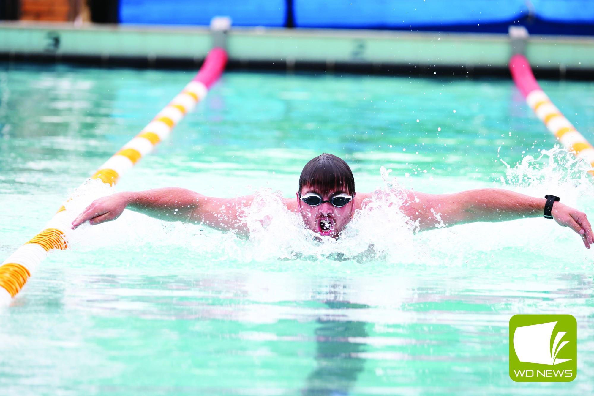 Charity swim surpasses $20,000 - feature photo