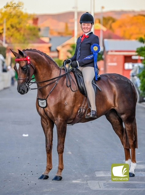 Camperdown College student Stella Horspole has been selected captain of Victoria’s show horse team.